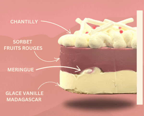 La bûche pavlova fruit rouge